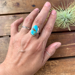 ブリゼ | ロイストンターコイズのシルバーリング | 16号 | Silver950 6枚目の画像