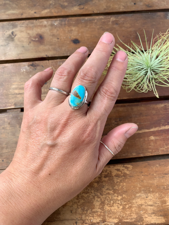 ブリゼ | ロイストンターコイズのシルバーリング | 16号 | Silver950 6枚目の画像