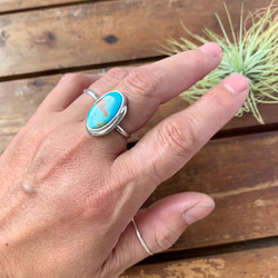 ブリゼ | ロイストンターコイズのシルバーリング | 16号 | Silver950 7枚目の画像