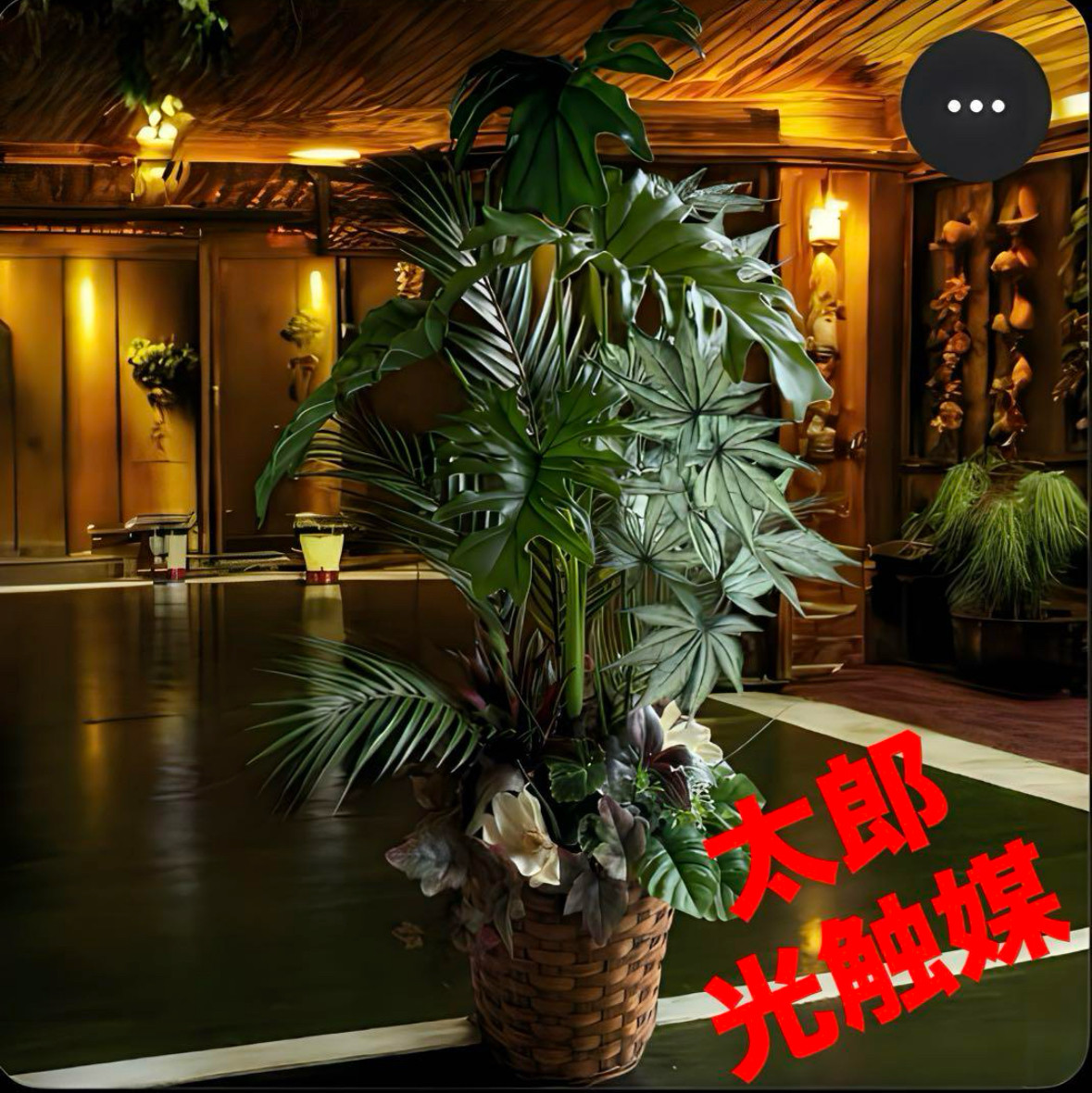 光触媒　人工観葉植物　ウォールグリーン　フェイクグリーン　アジアン風セローム 光触媒 人工観葉植物 ウォールグリーン フェイクグリーン アジアン風