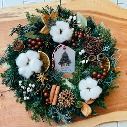 母の日】 スターチスリース リース Couronne♡mignonne 通販 19242035