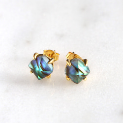 隕石のピアス スウェーデン産 ムオニナルスタ隕石（メテオライト隕石