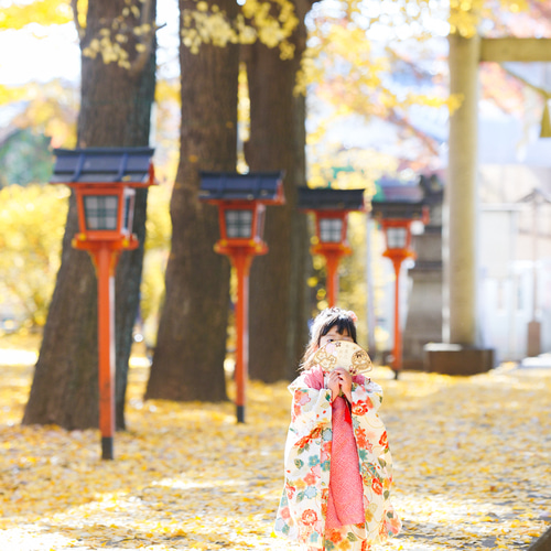 七五三 扇子 】水引 七五三参り 七五三撮影 撮影小物 千歳飴 753 撮影
