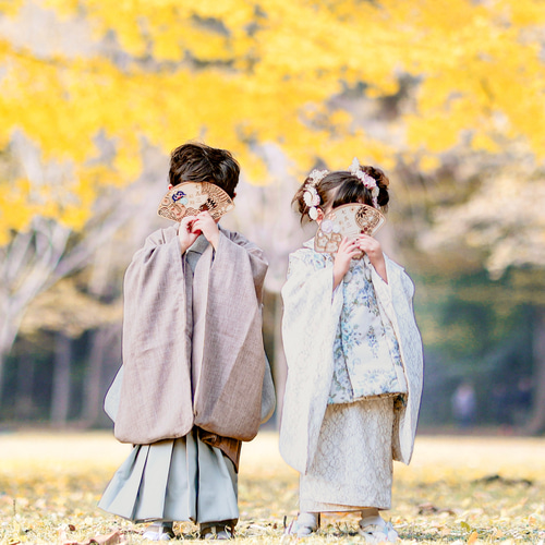 七五三 扇子 】水引 七五三参り 七五三撮影 撮影小物 千歳飴 753 撮影