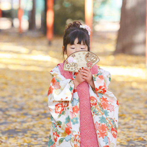 七五三 扇子 】水引 七五三参り 七五三撮影 撮影小物 千歳飴 753 撮影