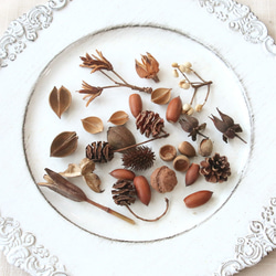 ワラッチポッド 10点 【木の実 茶色 自然素材】 ドライフラワー