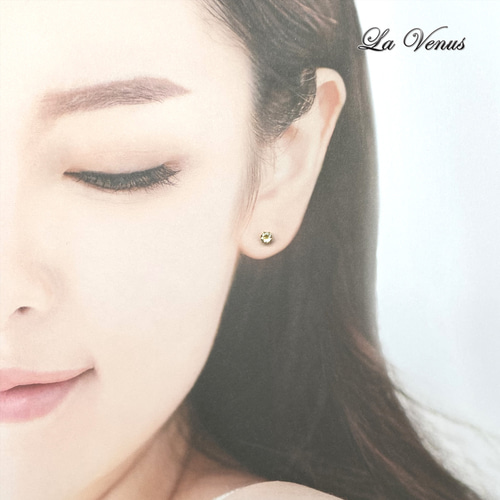 ✴︎つけっぱなしOK✴︎ 希少石 リビアングラス スタッドピアス 4mm