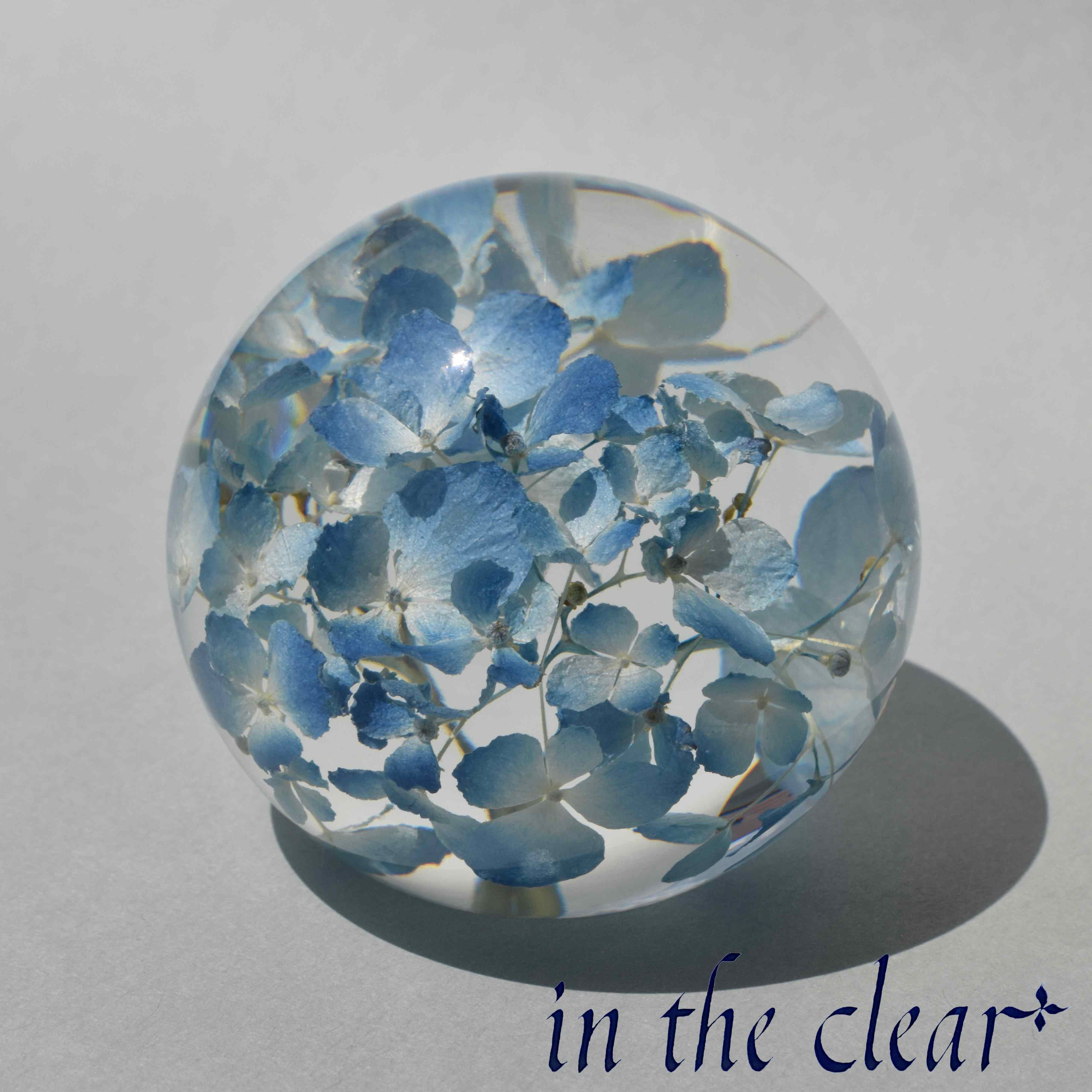 植物標本　紫陽花　水色　レジン　6センチ球体