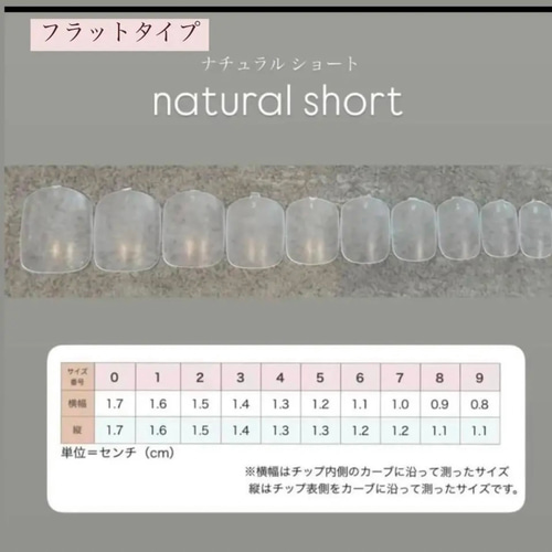 antique tulip マグネット ボルドー ワインレッド チューリップ 成人式