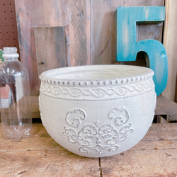 入荷しました！モッコウバラ♡【毎年楽しめる可愛い小輪ミニ薔薇