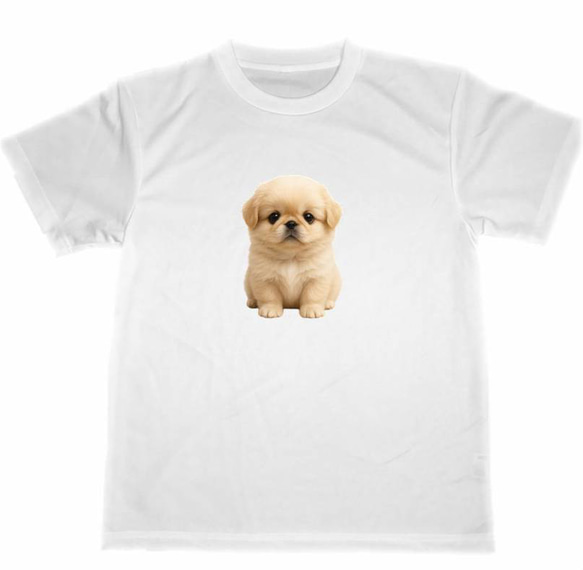 ペキニーズ　ドライ　Tシャツ　子犬　仔犬　DOG　グッズ　T-shirt 1枚目の画像