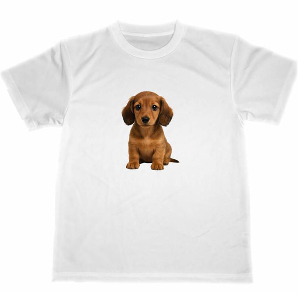 ミニチュアダックスフンド　ドライ　Tシャツ　子犬　仔犬　DOG　グッズ　T-shirt 1枚目の画像