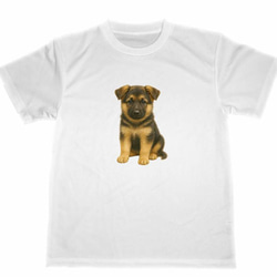 シェパード　ドライ　Tシャツ　子犬　仔犬　DOG　グッズ　T-shirt 1枚目の画像