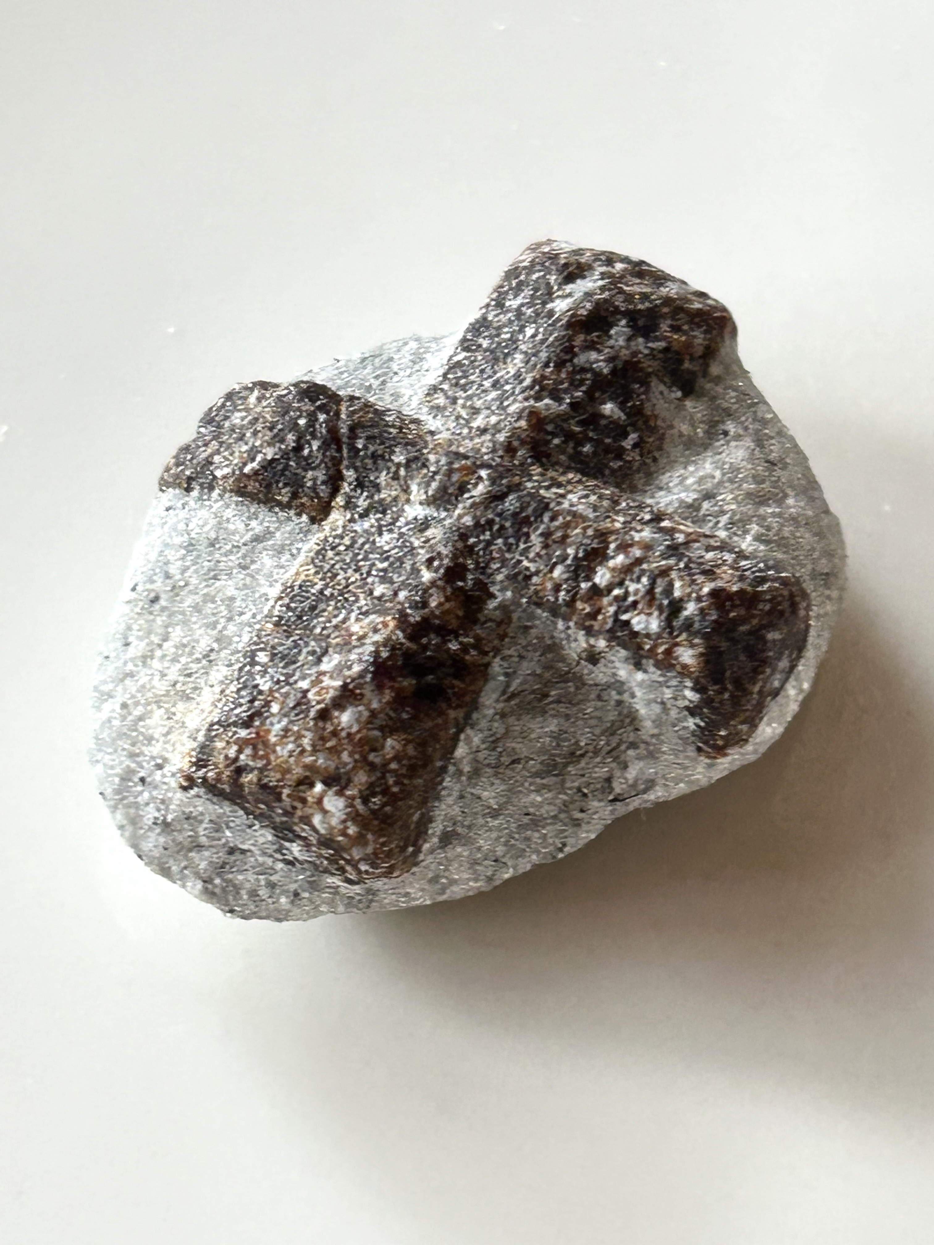 【妖精の十字架】スタウロライト(十字石) ロシア産 10.3g