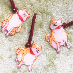 ペンギン/ショート penguin/piece of cake 日本画 絵画 mizoochi 通販