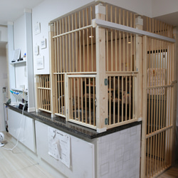 【にゃんこフェンス】猫の侵入防止柵 開き戸タイプ｜オーダーメイド木製猫柵 5枚目の画像