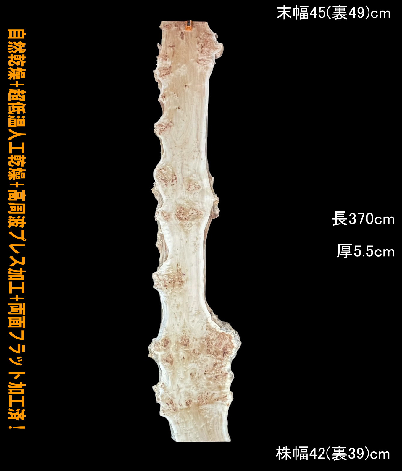 ポプラ　C173-1　一枚板　長尺　乾燥材　棚板　カウンター　テーブル　レジン　天板◆営業所止送料無料◆
