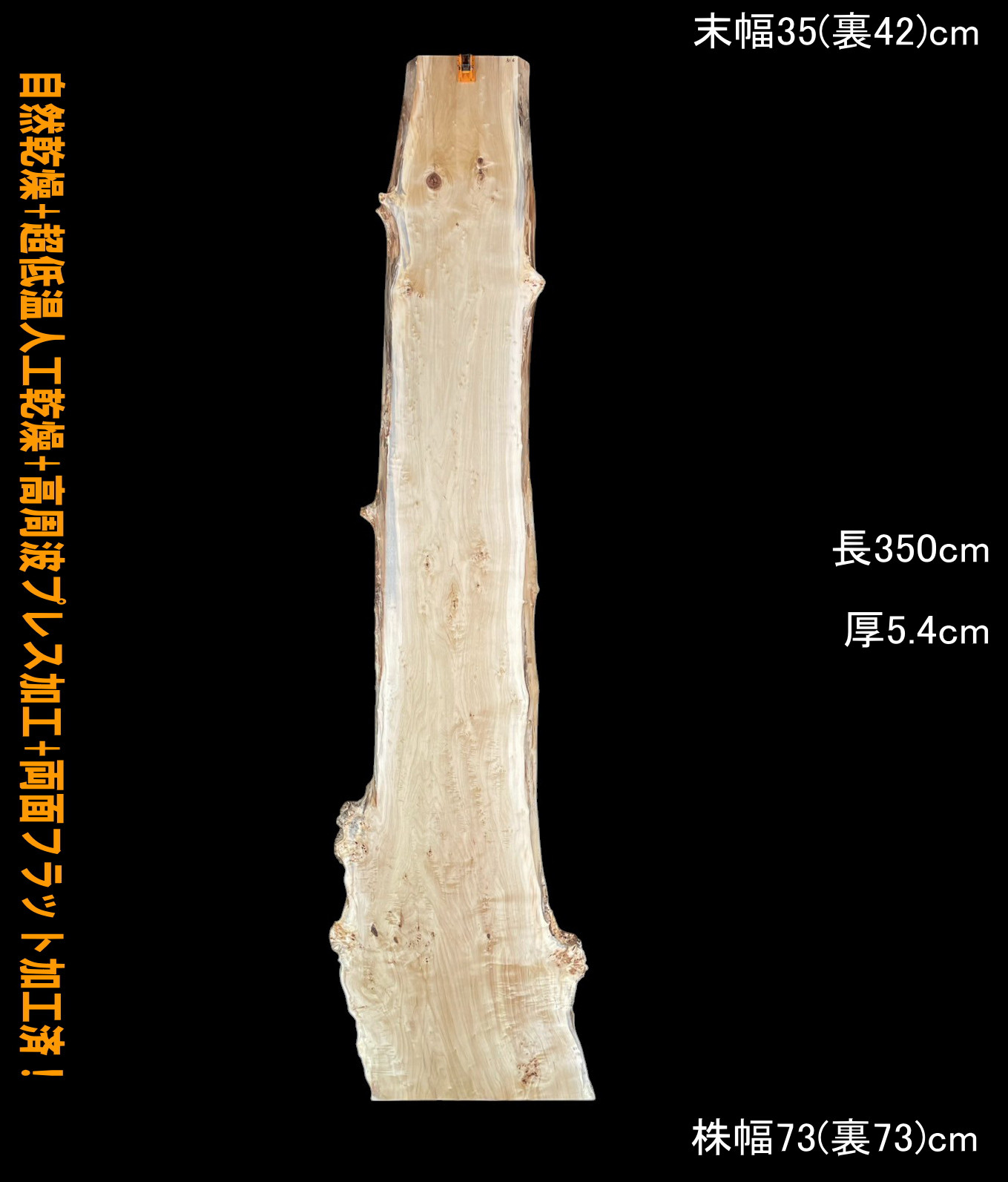 ポプラ　C316-1　一枚板　長尺　乾燥材　棚板　カウンター　テーブル　レジン　天板◆営業所止送料無料◆