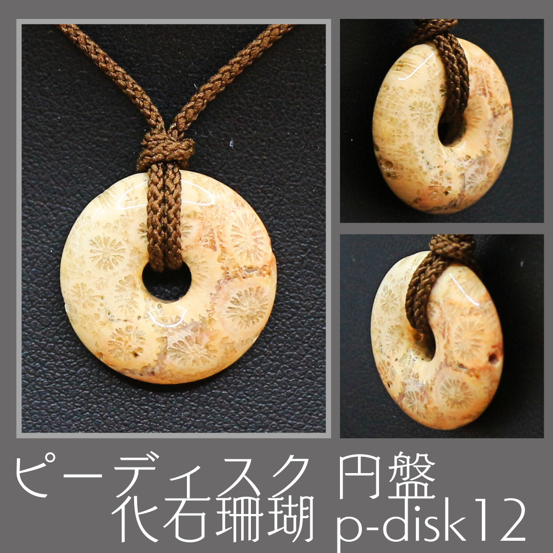 ピーディスク 円盤 化石珊瑚 p-disk12