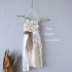 再販特価！フレッシュユーカリポポラス カット枝 ドライフラワー I Bee