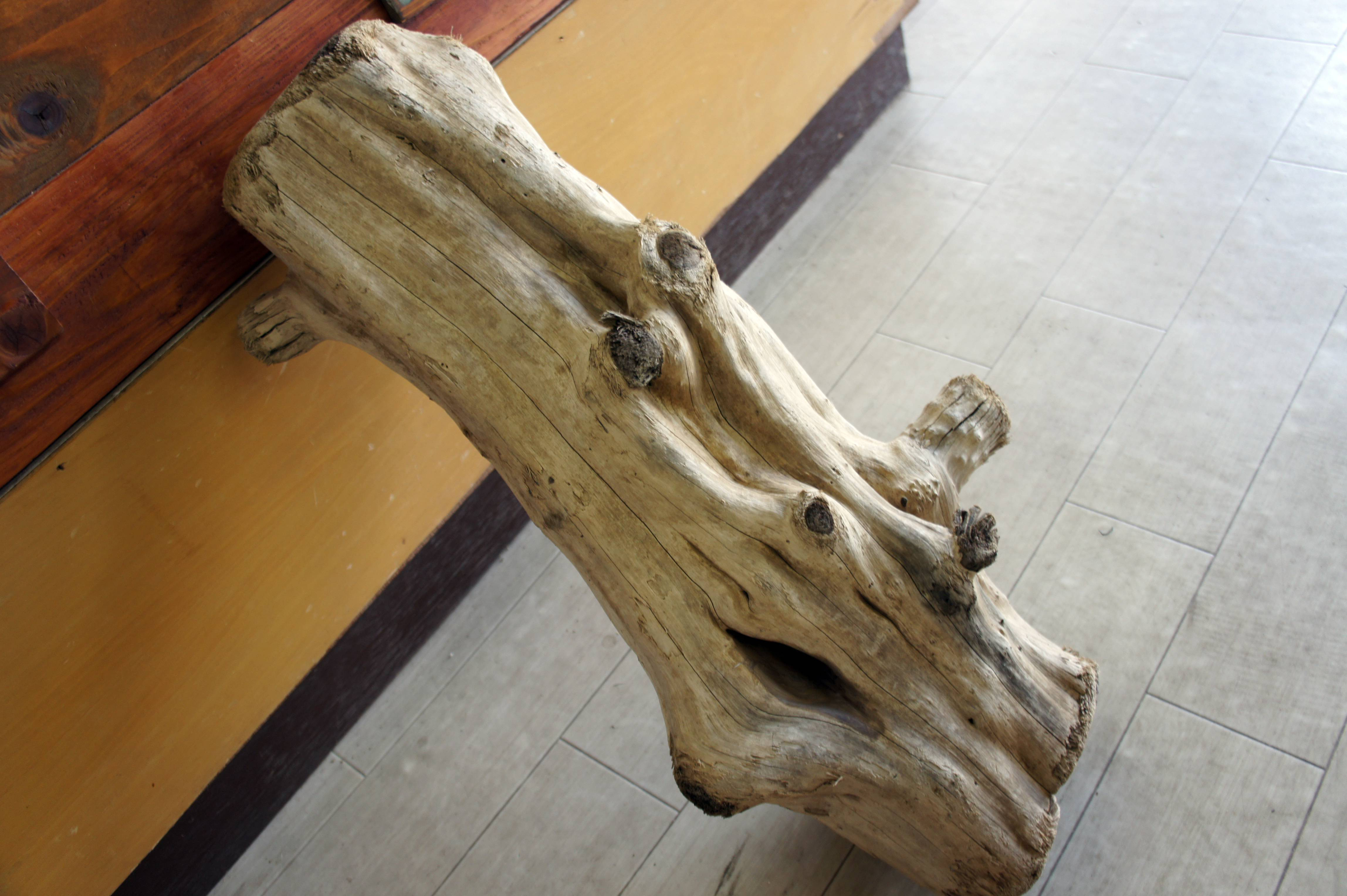 流木 大型サイズ インテリア オブジェ 爬虫類 小動物 登り木 レイアウト イグアナ ヘビ トカゲ 218