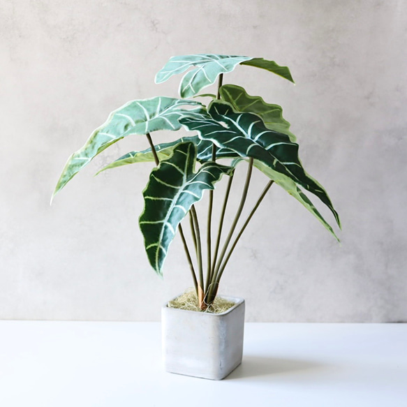 フェイクグリーン アロカシア 観葉植物 卓上インテリアグリーン