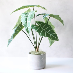 光触媒 人工観葉植物 ウォールグリーン フェイクグリーン