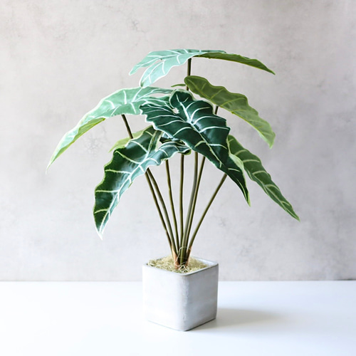 アロカシア 中型 植物 アロカシア クワズイモ 造花 フェイクグリーン 観葉植物 卓上 鉢植え