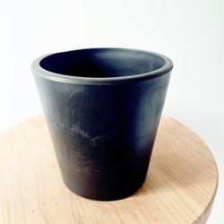 特A品】オリーブ チプレッシーノ Lサイズ 観葉植物 calm cafe