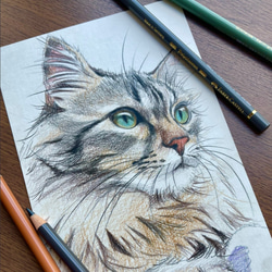 色鉛筆 ペット 似顔絵｜オーダーメイドイラスト｜犬 猫 鳥