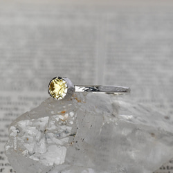 記憶と流れの物語〜イエローベリル〜 6枚目の画像