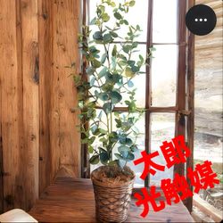 光触媒　人工観葉植物　ウォールグリーン　フェイクグリーン　ウンベラータ180 光触媒 人工観葉植物 ウォールグリーン フェイクグリーン