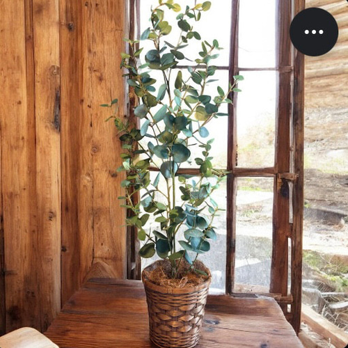 光触媒　人工観葉植物　ウォールグリーン　フェイクグリーン　ユーカリポット1004 光触媒 人工観葉植物 ウォールグリーン フェイクグリーン ユーカリ