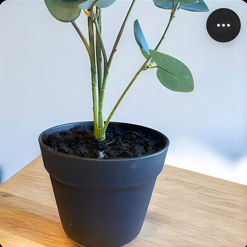 光触媒 ウォールグリーン フェイクグリーン ハンドメイド ユーカリ濃い葉