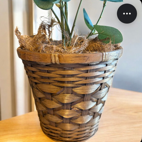 光触媒 人工観葉植物 ウォールグリーン フェイクグリーン ユーカリ