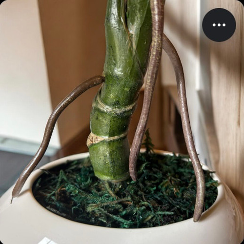 光触媒 人工観葉植物 ウォールグリーン フェイクグリーン ユーカリ