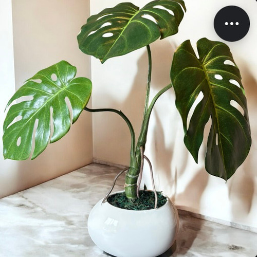 光触媒　人工観葉植物　ウォールグリーン　フェイクグリーン　ユーカリポット 光触媒 人工観葉植物 ウォールグリーン フェイクグリーン ユーカリ