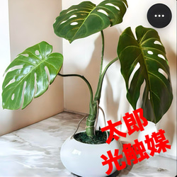 光触媒 人工観葉植物 ウォールグリーン フェイク フラワー