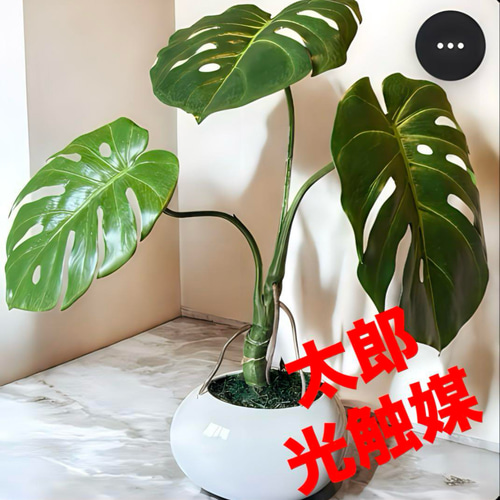 光触媒 人工観葉植物 ウォールグリーン フェイクグリーン