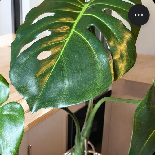 光触媒 人工観葉植物 ウォールグリーン フェイクグリーン ユーカリ