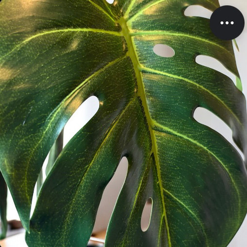 光触媒 人工観葉植物 ウォールグリーン フェイクグリーン ユーカリ