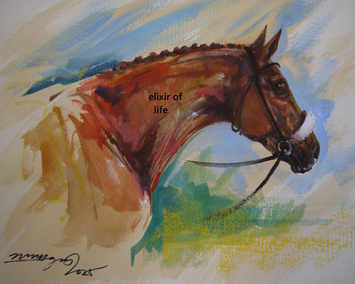 競走馬2025（アクリル絵の具、墨、水彩、水彩画用紙24cm