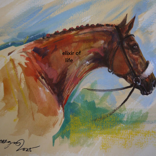 競走馬2025（アクリル絵の具、墨、水彩、水彩画用紙24cm