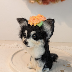 羊毛フェルト チワワ のおすすめ人気通販 検索結果｜Creema(クリーマ