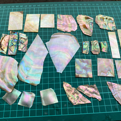 アワビ貝　沖縄県のアワビ貝　15枚セット　螺鈿細工　ハンドメイド　素材 アワビ貝 沖縄県のアワビ貝 15枚セット 螺鈿細工 ハンドメイド