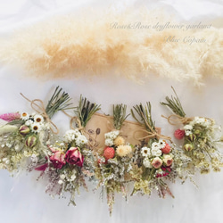 ࣪˖ ♡ピンクローダンセのドライフラワースワッグ ドライフラワー