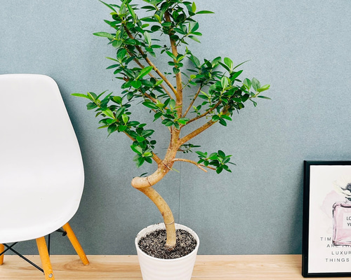 e2c2dd1de8b17df63f87e2104ae866