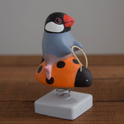 遊具のことりたち/桜文鳥 1枚目の画像