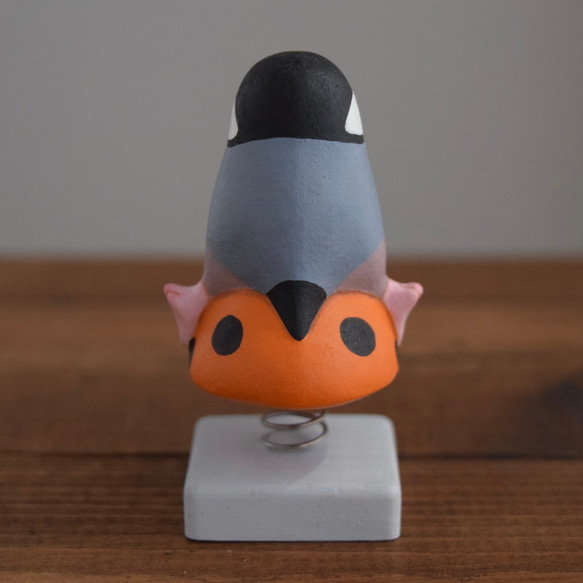 遊具のことりたち/桜文鳥 6枚目の画像