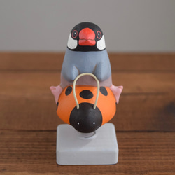 遊具のことりたち/桜文鳥 2枚目の画像